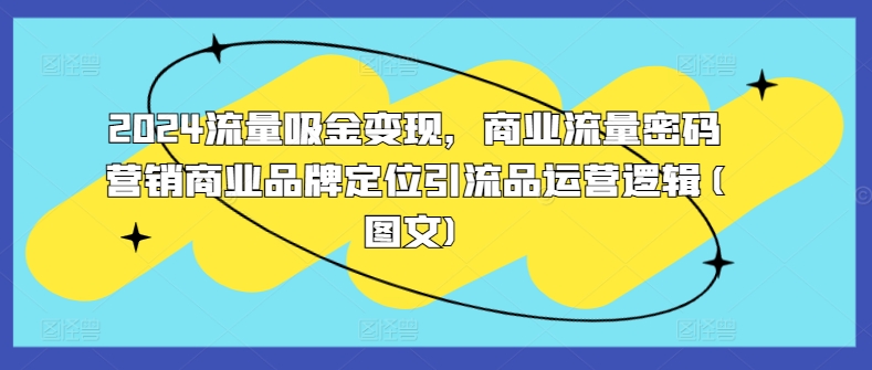 2024流量吸金变现，商业流量密码营销商业品牌定位引流品运营逻辑(图文)-轻创星球网