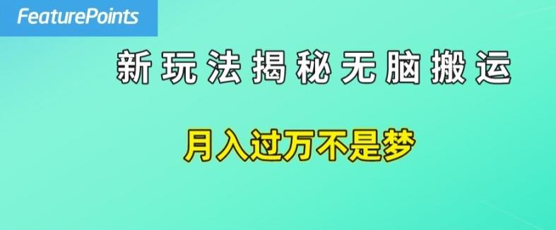 简单操作，每天50美元收入，搬运就是赚钱的秘诀【揭秘】-轻创星球网