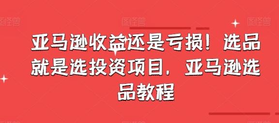 亚马逊收益还是亏损！选品就是选投资项目，亚马逊选品教程-轻创星球网