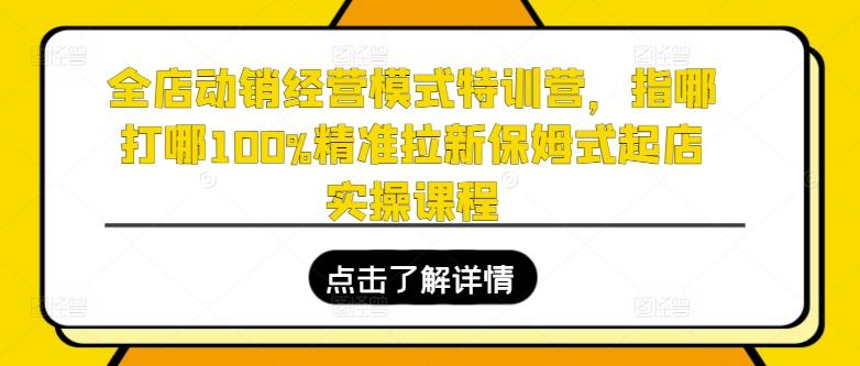 全店动销经营模式特训营，指哪打哪100%精准拉新保姆式起店实操课程-轻创星球网