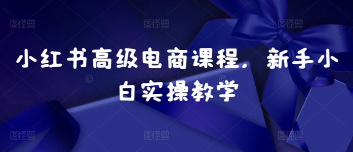 小红书高级电商课程,新手小白实操教学