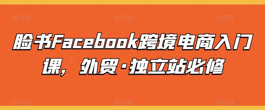 脸书Facebook跨境电商入门课，外贸·独立站必修-轻创星球网