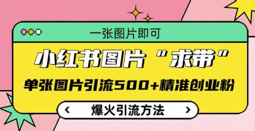 小红书图片‘求带’爆火引流法，单张图片引流500+精准创业粉【揭秘】-轻创星球网