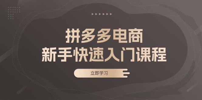 拼多多电商新手快速入门课程：涵盖基础、实战与选款，助力小白轻松上手-轻创星球网