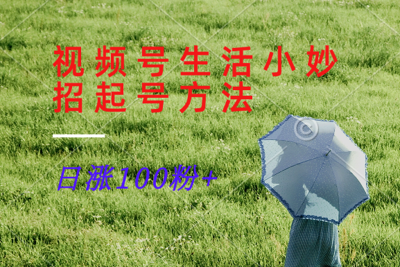 视频号生活小妙招分享赛道, 起号涨粉新方法,日涨100粉-轻创星球网