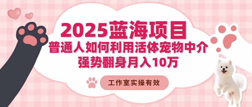 2025蓝海项目：普通人如何利用活体宠物中介，强势翻身月入10万-轻创星球网