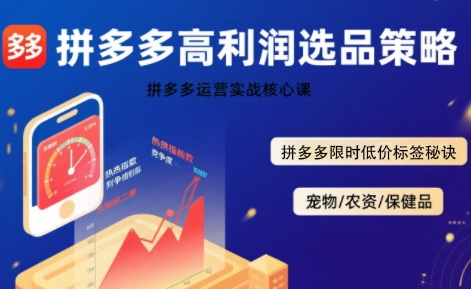 拼多多选品暴利技术实战课，拼多多高利润选品策略，拼多多限时低价标签秘诀-轻创星球网
