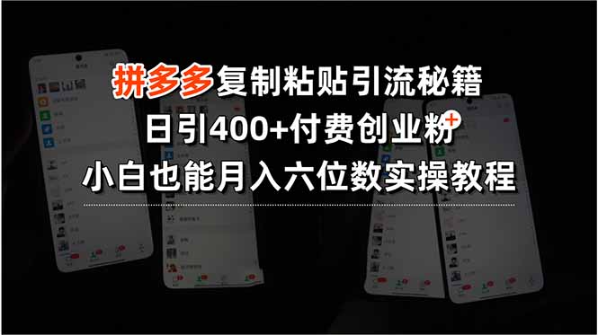 拼多多复制粘贴引流秘籍，日引400+付费创业粉，小白也能月入六位数实操…-轻创星球网