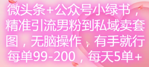 微头条+公众号小绿书，精准引流男粉到私域卖套图，无脑操作，有手就行，每单99-200，每天5单-轻创星球网