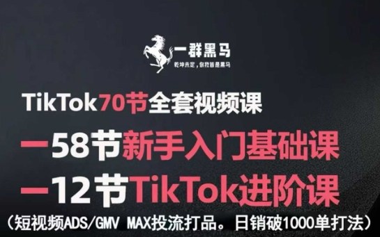 TikTok全套视频课，新手入门+进阶课，短视频ADS-GMV MAX投流打品，日销破1000单打法-轻创星球网