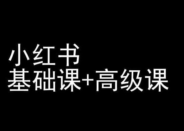 小红书基础课+高级课-小红书运营教程-轻创星球网
