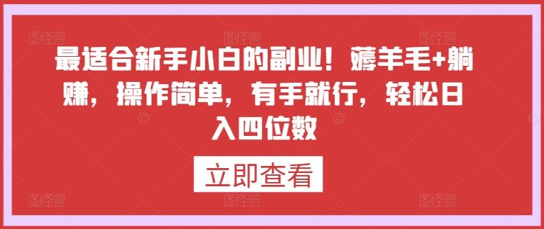最适合新手小白的副业！薅羊毛+躺赚，操作简单，有手就行，轻松日入四位数【揭秘】-轻创星球网