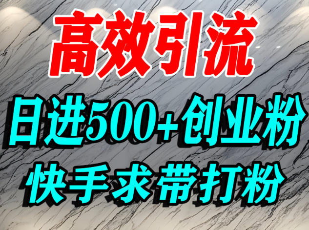怎么打创业粉？快手求带视角精准引流创业粉，宝妈、学生群体日进500+精准流量-轻创星球网