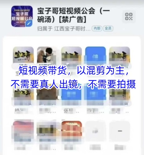 宝子哥头部团队短视频带货，以混剪为主，不需要真人出镜，不需要拍摄【更新8月】-轻创星球网