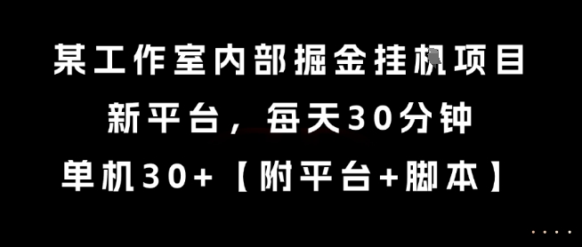 某工作室内部掘金挂G项目，新平台，每天30分钟，单机30+【揭秘】-轻创星球网