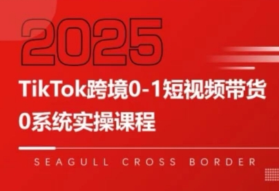 大亿老师·TikTok跨境0-1短视频带货-轻创星球网
