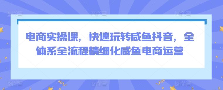 电商实操课，快速玩转咸鱼抖音，全体系全流程精细化咸鱼电商运营-轻创星球网