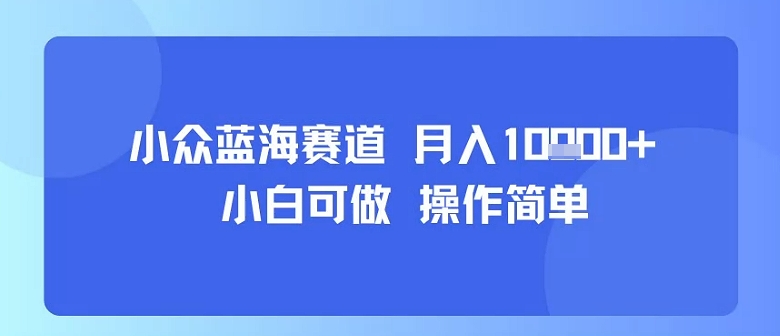 小众蓝海赛道,小白可做,操作简单,每天30分钟,月入1W+-轻创星球网