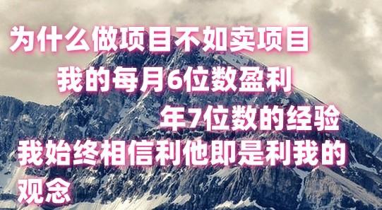 做项目不如卖项目，每月6位数盈利，年7位数经验-轻创星球网