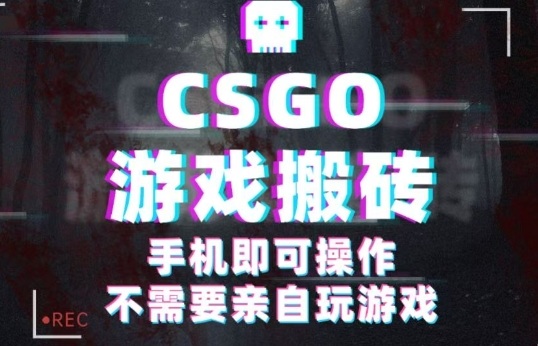 CSGO游戏挂G捡漏，单日扫货5张+，年底小高峰上车可吃肉，手机即可操作，兼职副业创业网创【揭秘】-轻创星球网