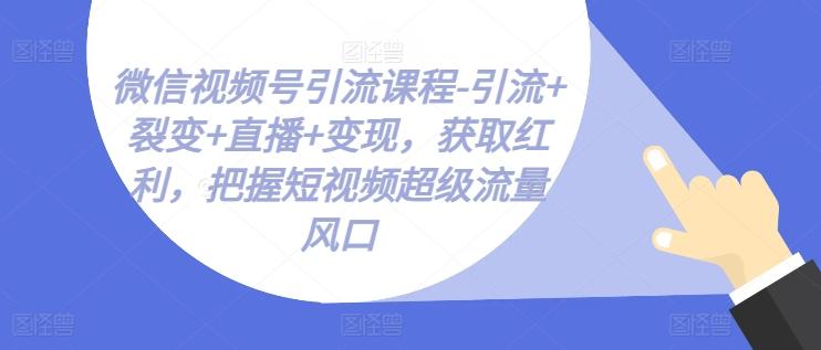 微信视频号引流课程-引流+裂变+直播+变现，获取红利，把握短视频超级流量风口-轻创星球网
