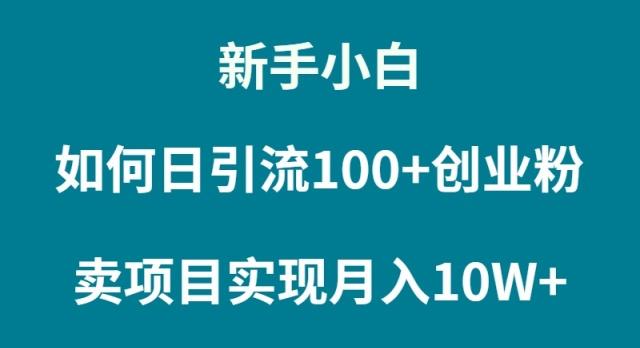 (9556期)新手小白如何通过卖项目实现月入10W+-轻创星球网
