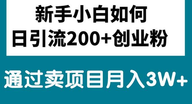 新手小白日引流200+创业粉,通过卖项目月入3W+-轻创星球网