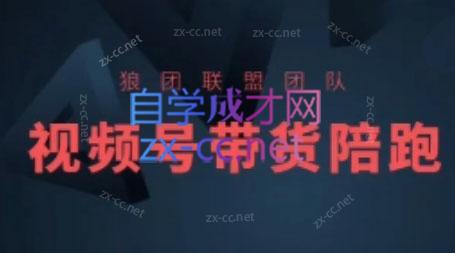 狼团联盟·2024视频号带货-轻创星球网