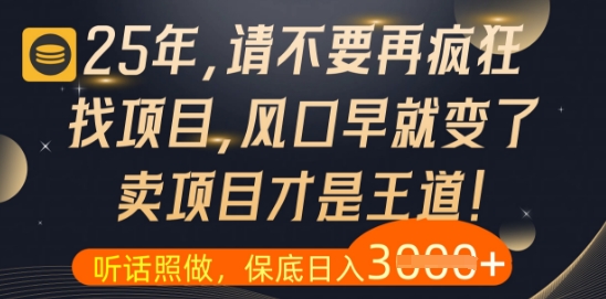 什么？25年你还在疯狂找项目做，醒醒吧，看完这些你全都懂了【揭秘】-轻创星球网