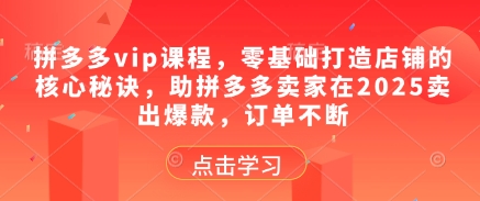 拼多多vip课程，零基础打造店铺的核心秘诀，助拼多多卖家在2025卖出爆款，订单不断-轻创星球网