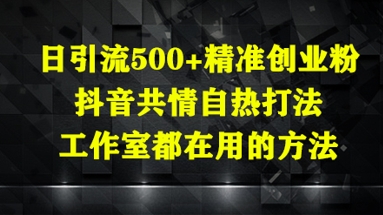 日引流500+精准创业粉，抖音共情自热打法，工作室都在用的方法-轻创星球网