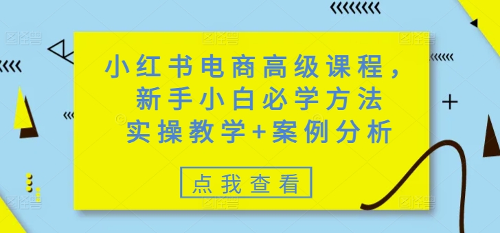小红书电商高级课程，新手小白必学方法，实操教学+案例分析-轻创星球网