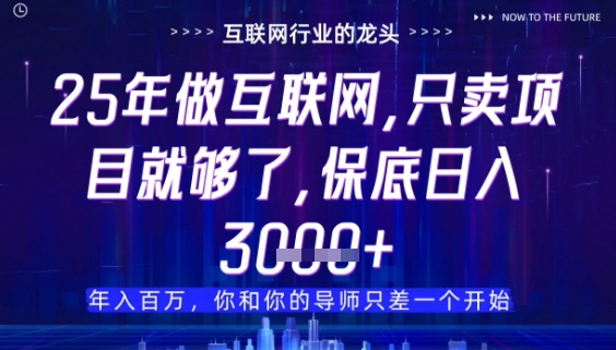 什么！25年你还在找项目做？风口早就变了，卖项目才是稳挣不赔【揭秘】-轻创星球网