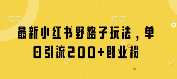 最新小红书野路子玩法，单日引流200+创业粉-轻创星球网