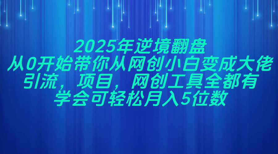 2025年逆境翻盘，从0开始带你从网创小白变成大佬，引流，项目，网创工…-轻创星球网