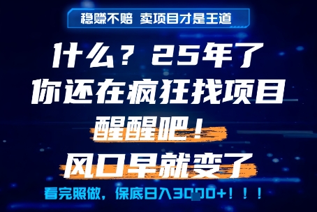 什么？25年你还在疯狂找项目做，醒醒吧，看完这些你全都懂了！【揭秘】-轻创星球网