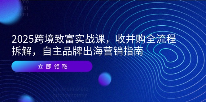 2025跨境致富实战课，收并购全流程拆解，自主品牌出海营销指南-轻创星球网