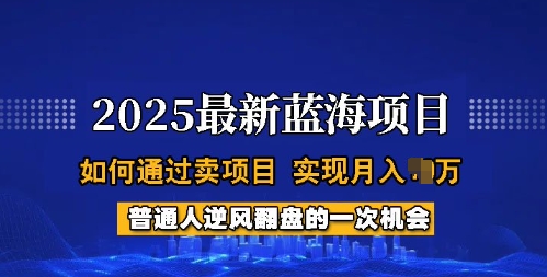 2025蓝海项目，普通人如何通过卖项目，实现月入过W，全过程【揭秘】-轻创星球网