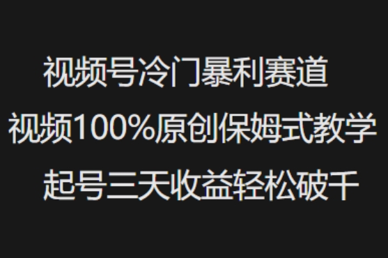 视频号冷门暴利赛道视频100%原创保姆式教学起号三天收益轻松破千-轻创星球网