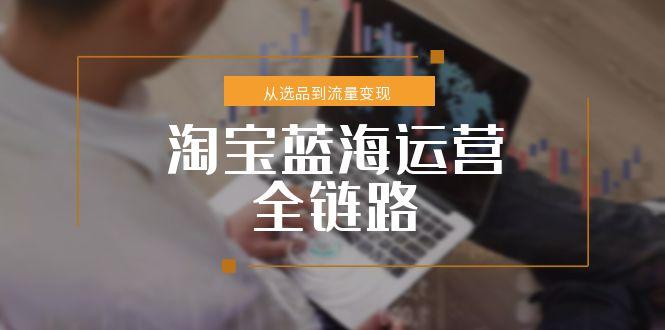 淘宝蓝海运营全链路，从选品到流量变现，小类目突围完整方案-轻创星球网