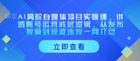 AI高阶自媒体项目实操课，讲透账号运营底层逻辑，从发布视频到规避违规一网打尽-轻创星球网
