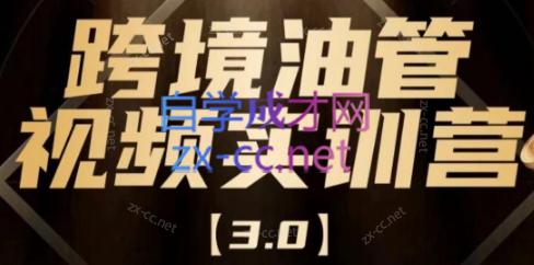 阿蔺Leo·跨境油管视频YouTube实训营(更新2025)-轻创星球网