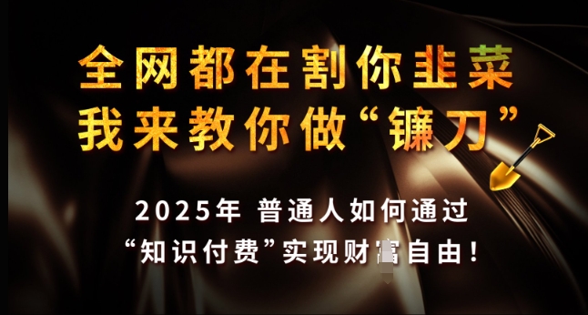 全网都在割你韭菜，我来教你做镰刀，2025年普通人如何通过 知识付费 实现财F自由【揭秘】-轻创星球网