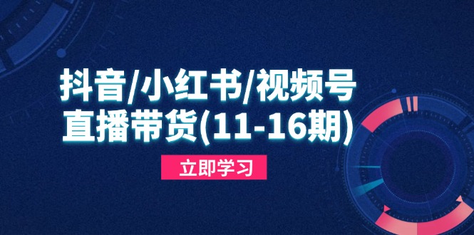 抖音/小红书/视频号/直播带货(11-16期-轻创星球网