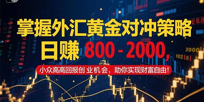 掌握外汇黄金对冲策略，日赚 800 - 2000，小众高回报创业机会，助你实...-轻创星球网