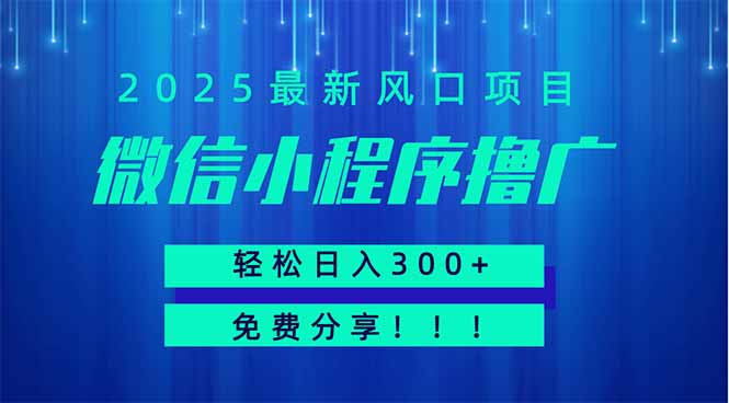 微信小程序撸广，最新风口项目，日入300+ 免费分享 可批量操作 小白可…-轻创星球网