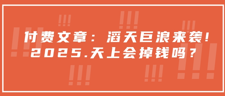 付费文章：滔天巨浪来袭！2025天上会掉钱吗？-轻创星球网