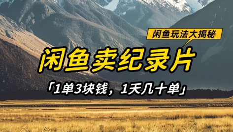 闲鱼卖纪录片1单3块钱，1天几十单，项目稳定有潜力-轻创星球网