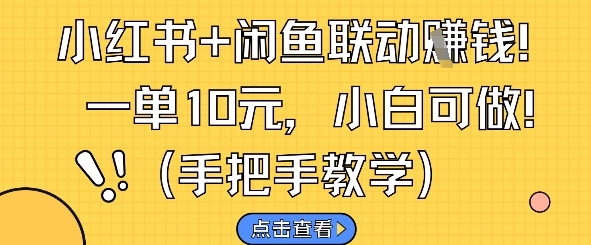 小红书+闲鱼联动挣钱，一单10元，小白可做-轻创星球网