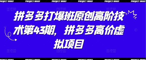 拼多多打爆班原创高阶技术第43期，拼多多高价虚拟项目-轻创星球网